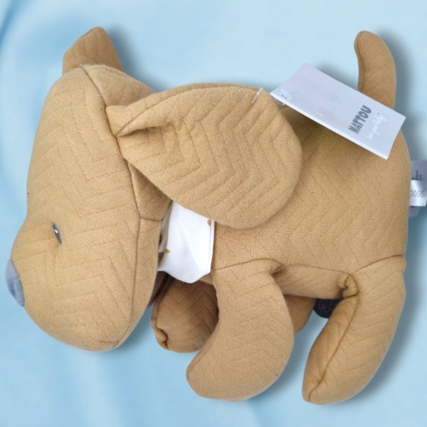 Chien NATTOU "Charlie" caramel