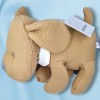 Chien NATTOU "Charlie" caramel