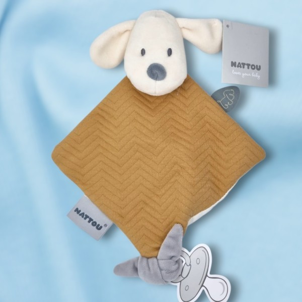Chien NATTOU "Charlie" caramel