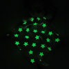 Minnie Disney rose phosphorescent
