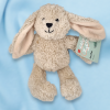 SOS doudou peluche Lapin HEMA beige