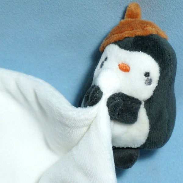 Pingouin DPAM Du Pareil Au Même