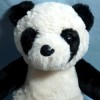 Panda VERTBAUDET peluche noire et blanche