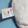 Ours BOUT'CHOU (Monoprix) doudou rose "Spring Time"