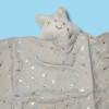 Étoile BOUT'CHOU (Monoprix) doudou lange carré plat gris
