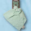 Souris NATTOU doudou anneau dentition vert menthe