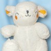 Mouton DPAM Du Pareil Au Même